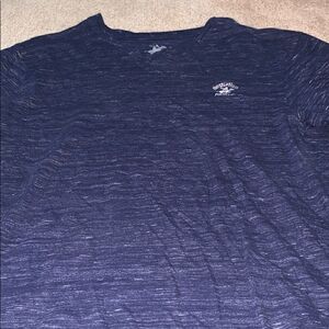 Blue vneck Polo shirt 